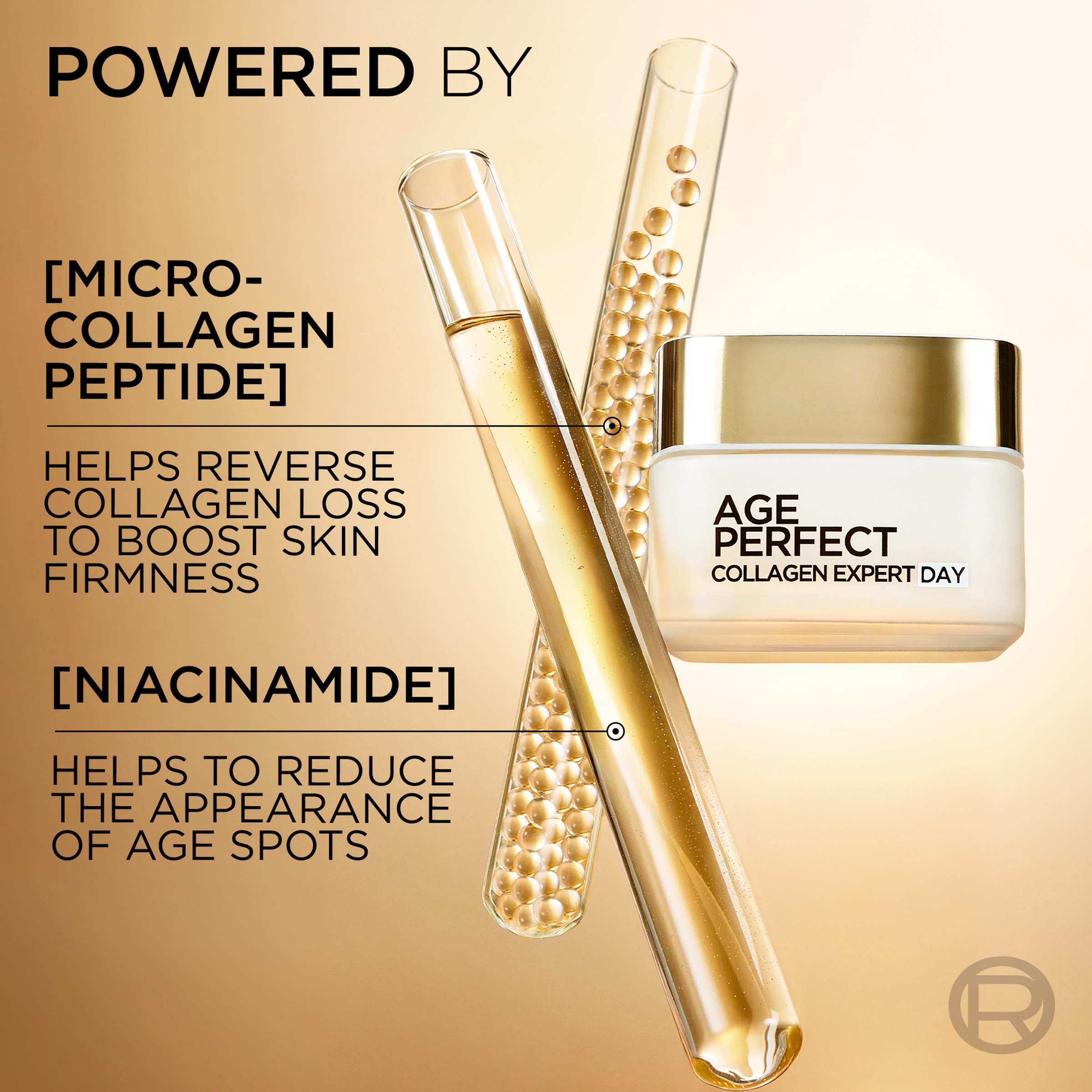 L'Oreal Paris Age Perfect Day Cream 50ml - Image 3