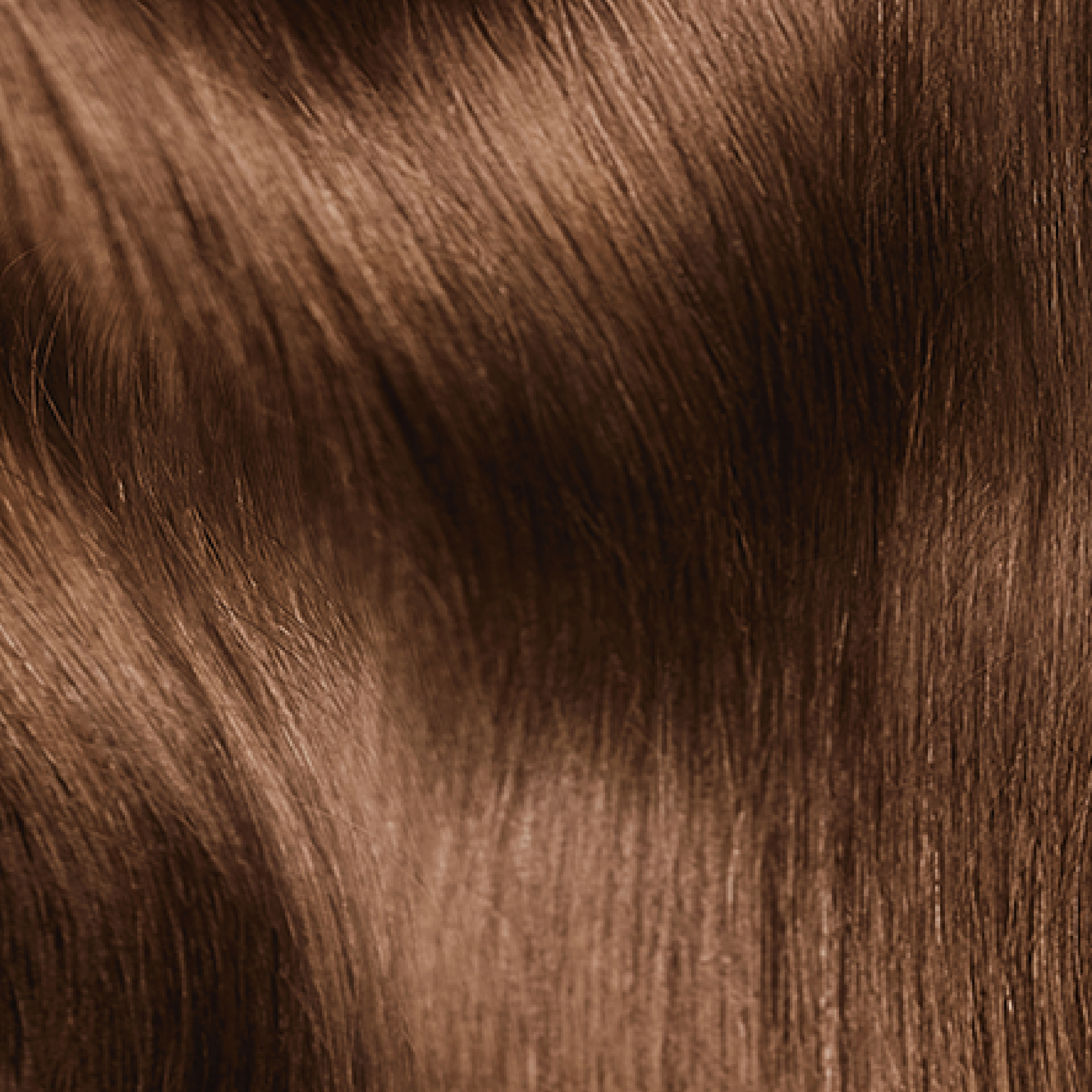 L'Oreal Paris Superior Preference 5 Palma Brown 1 each - Image 3