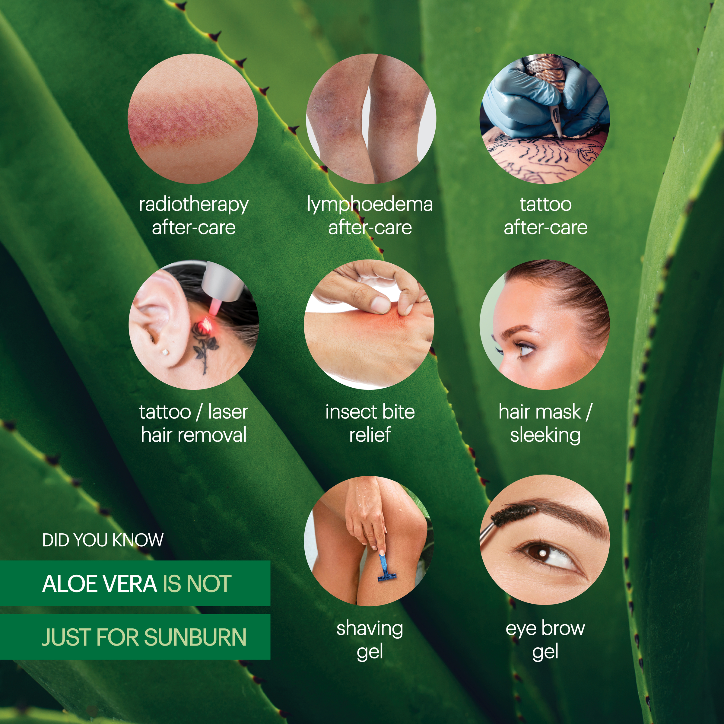 Plunkett's 99% Pure Aloe Vera Soothing Gel 75g - Image 5