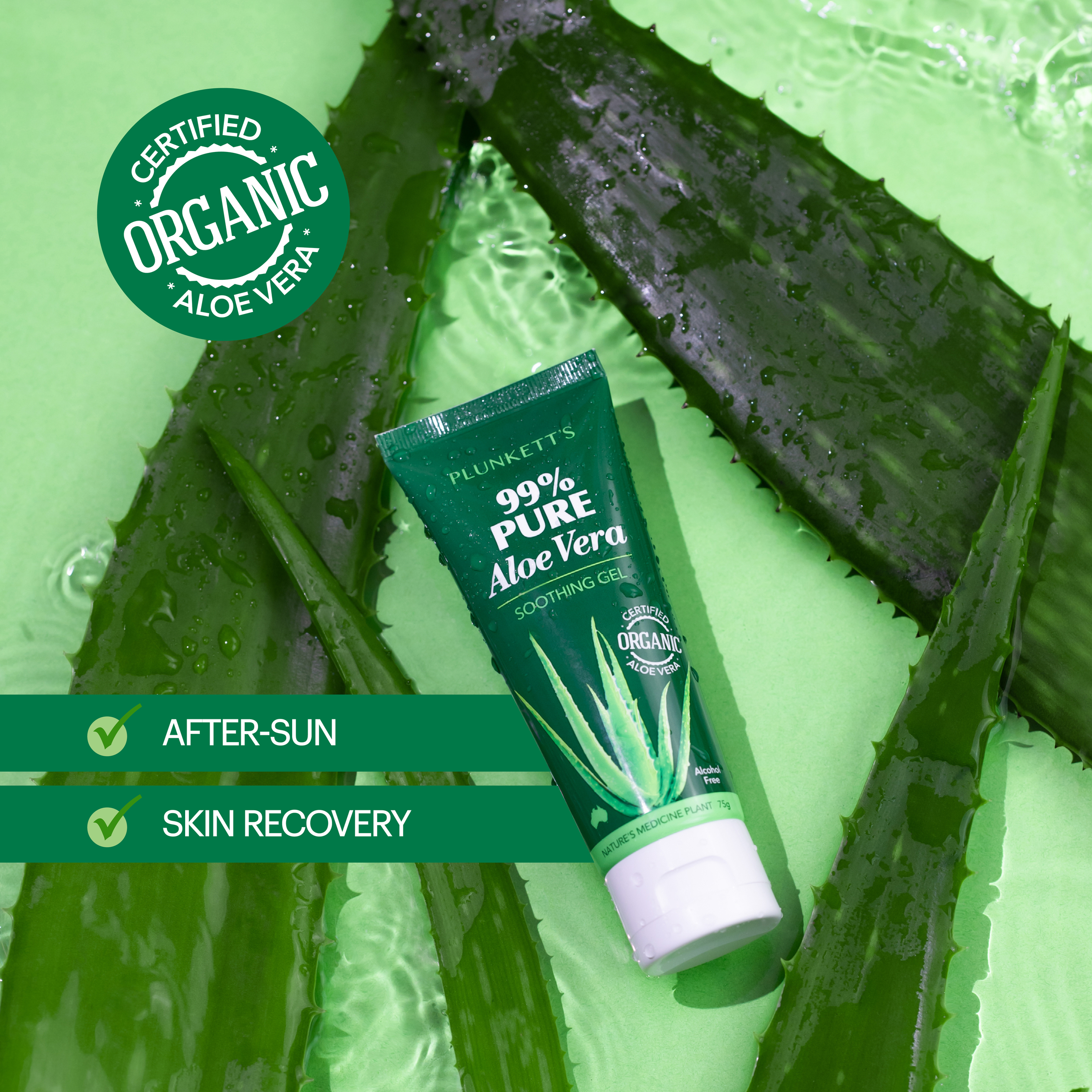 Plunkett's 99% Pure Aloe Vera Soothing Gel 75g - Image 3