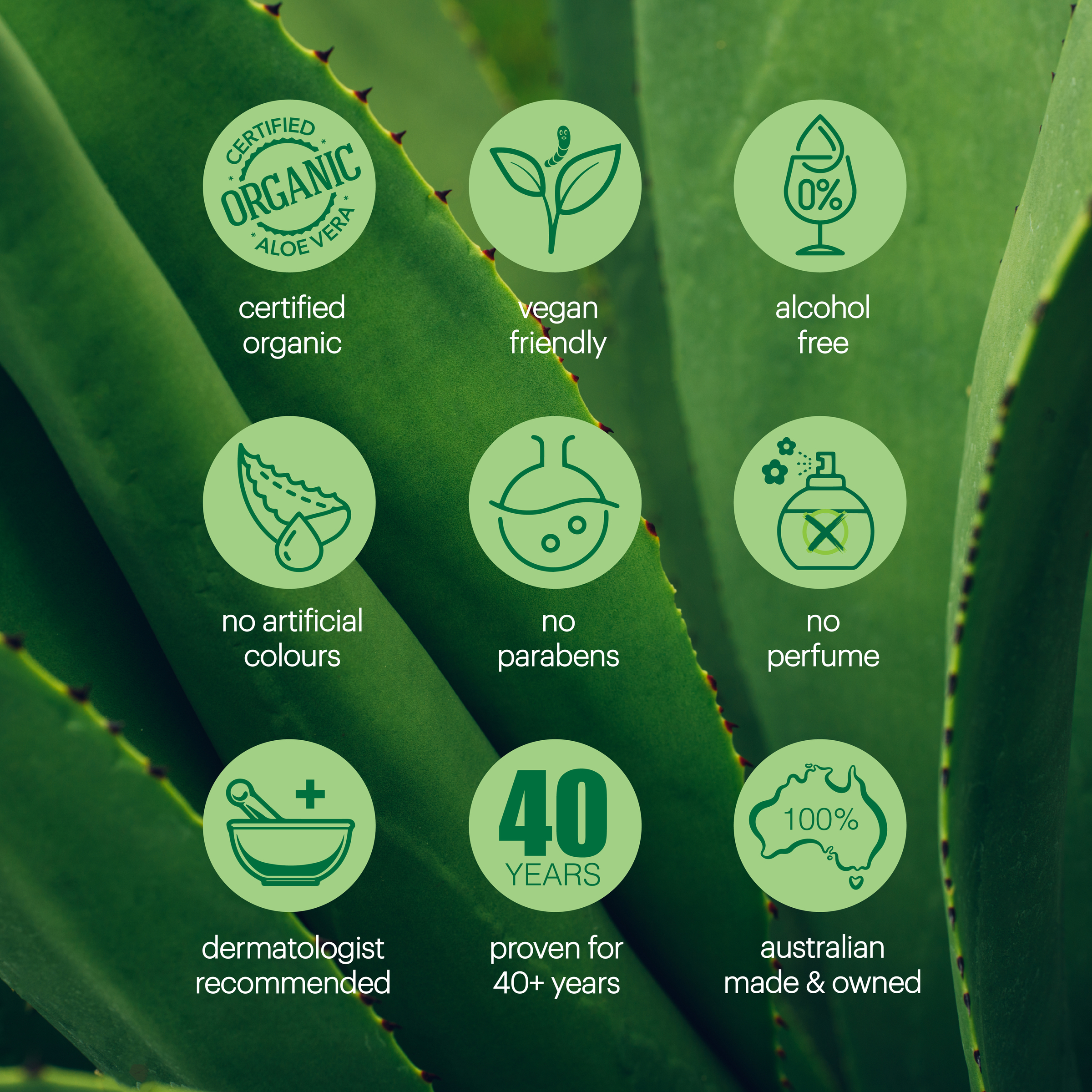Plunkett's 99% Pure Aloe Vera Soothing Gel 75g - Image 7