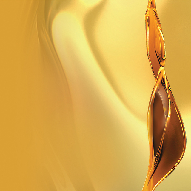L'Oreal Paris Elvive Extraordinary Oil Extra Rich 100ml - Image 2