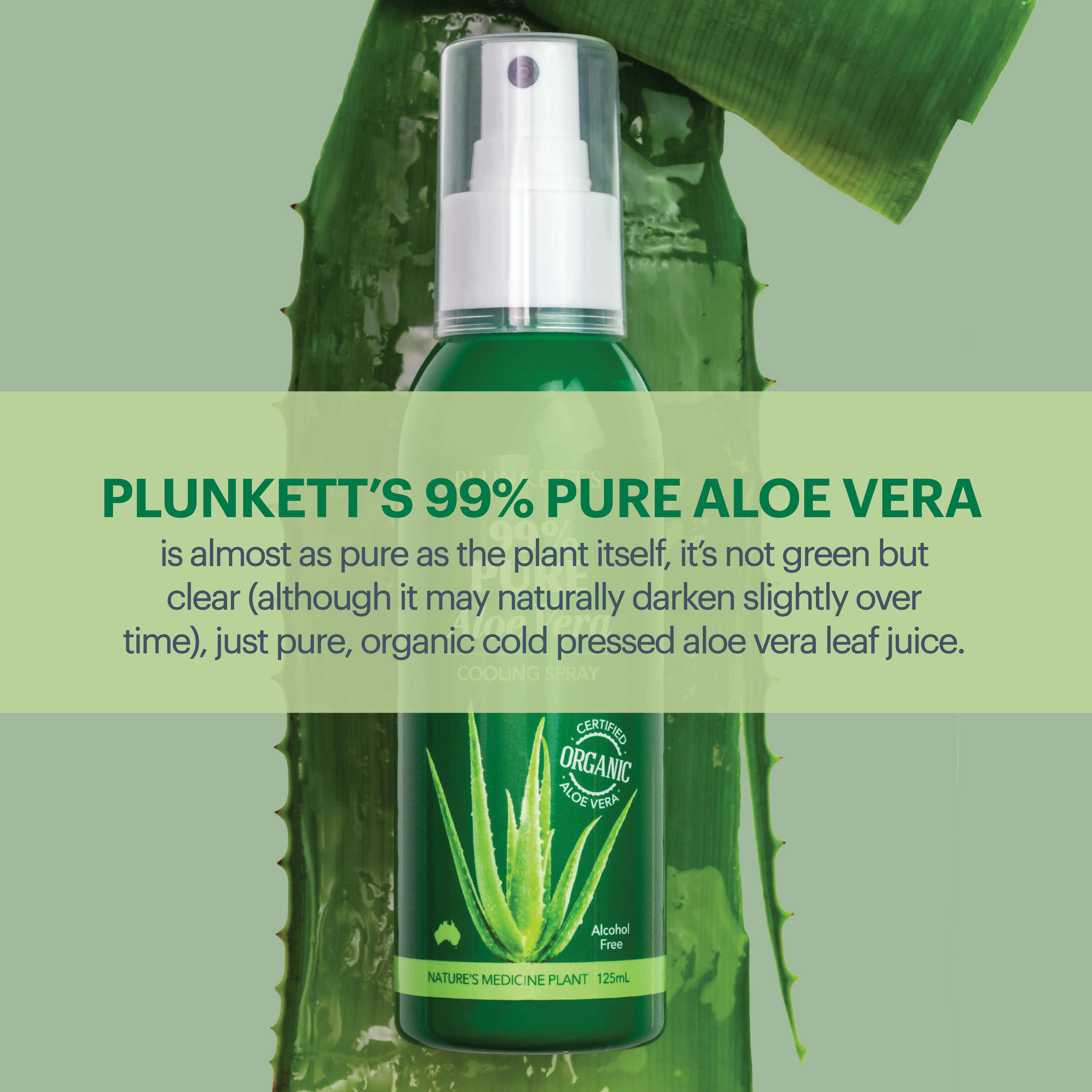 Plunkett's 99% Pure Aloe Vera Cooling Spray 125ml - Image 3