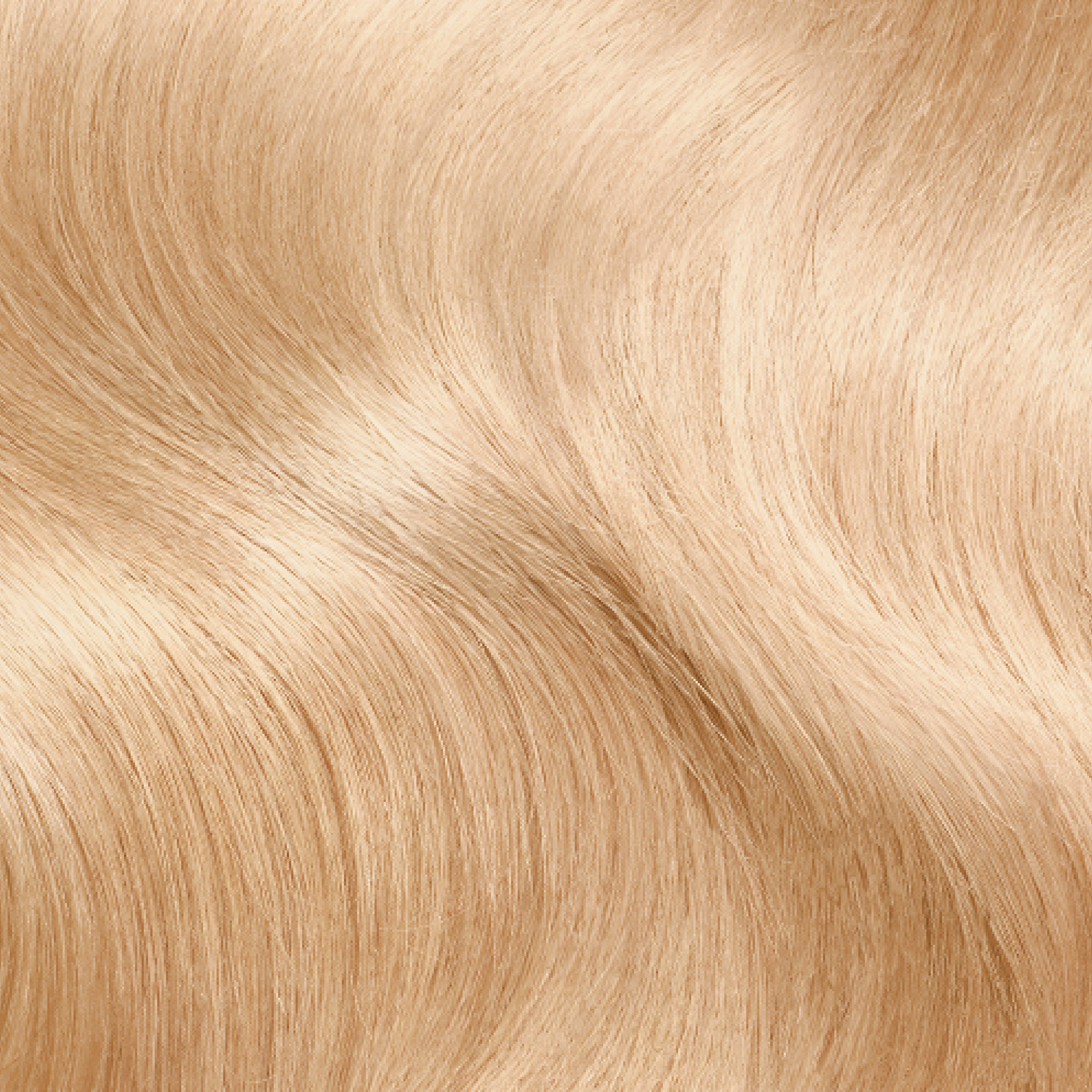 L'Oreal Paris Superior Preference 9.1 Viking 1 each - Image 3