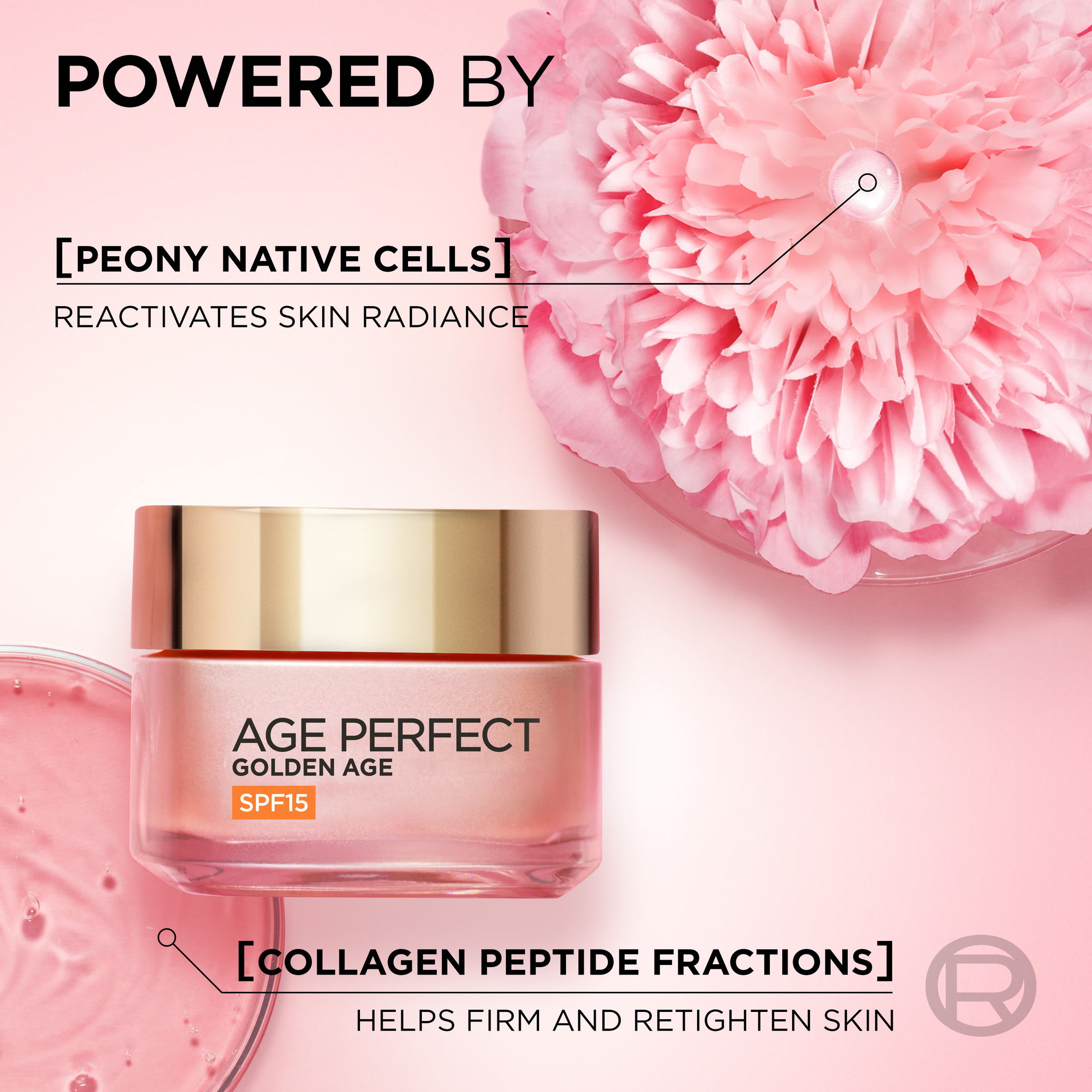 L'Oreal Paris Age Perfect Golden Age SPF15 Day 50ml - Image 4