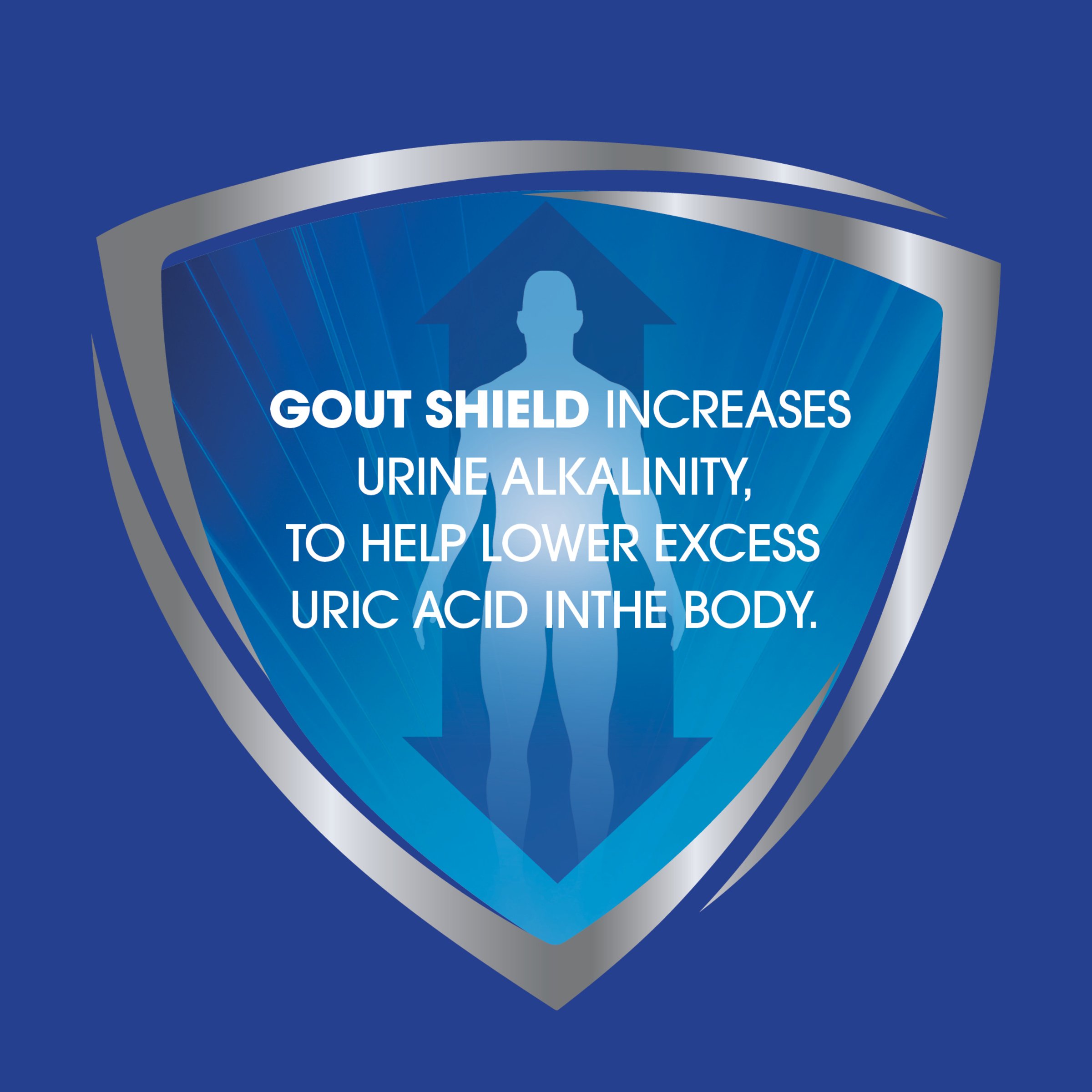 Gout Shield Effervescent Powder Lemon Flavoured 28 sachets - Image 9