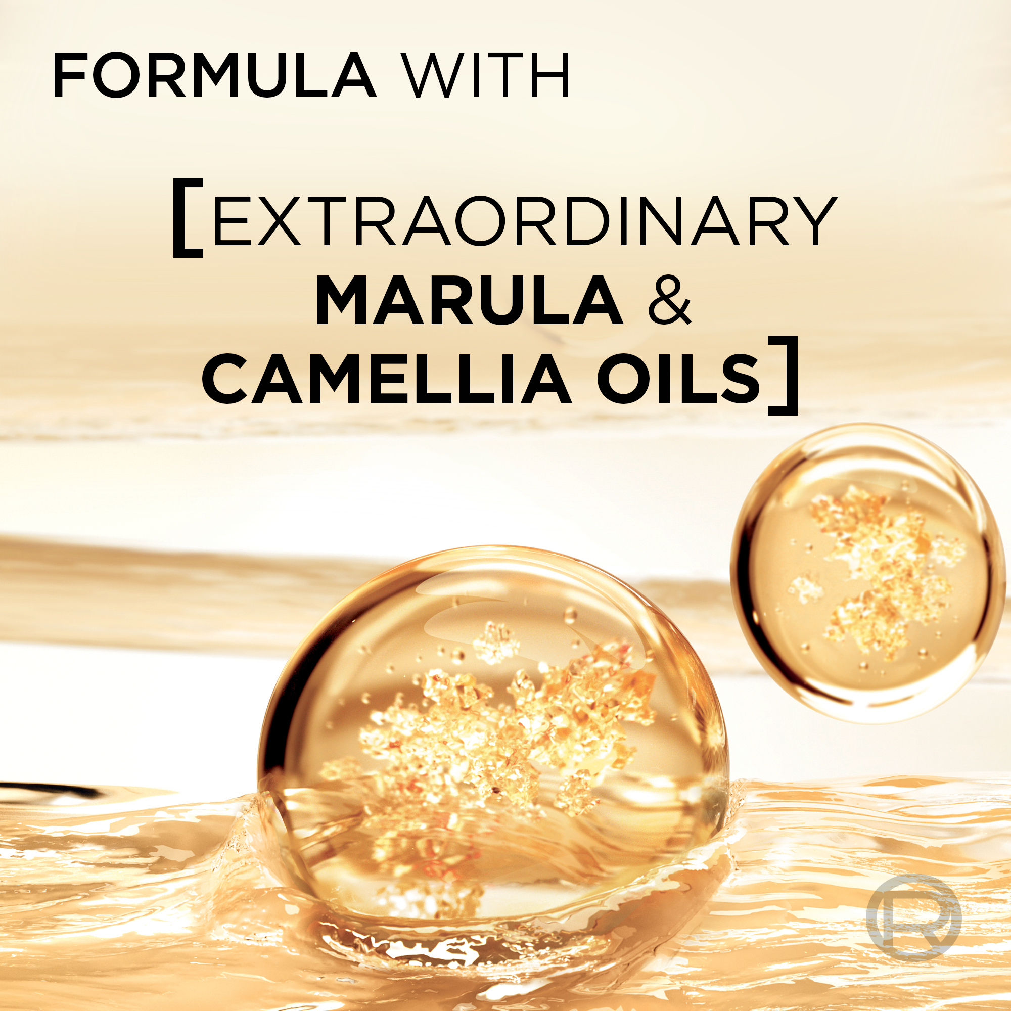 L'Oreal Paris Elvive Extraordinary Oils Shampoo 340ml - Image 3