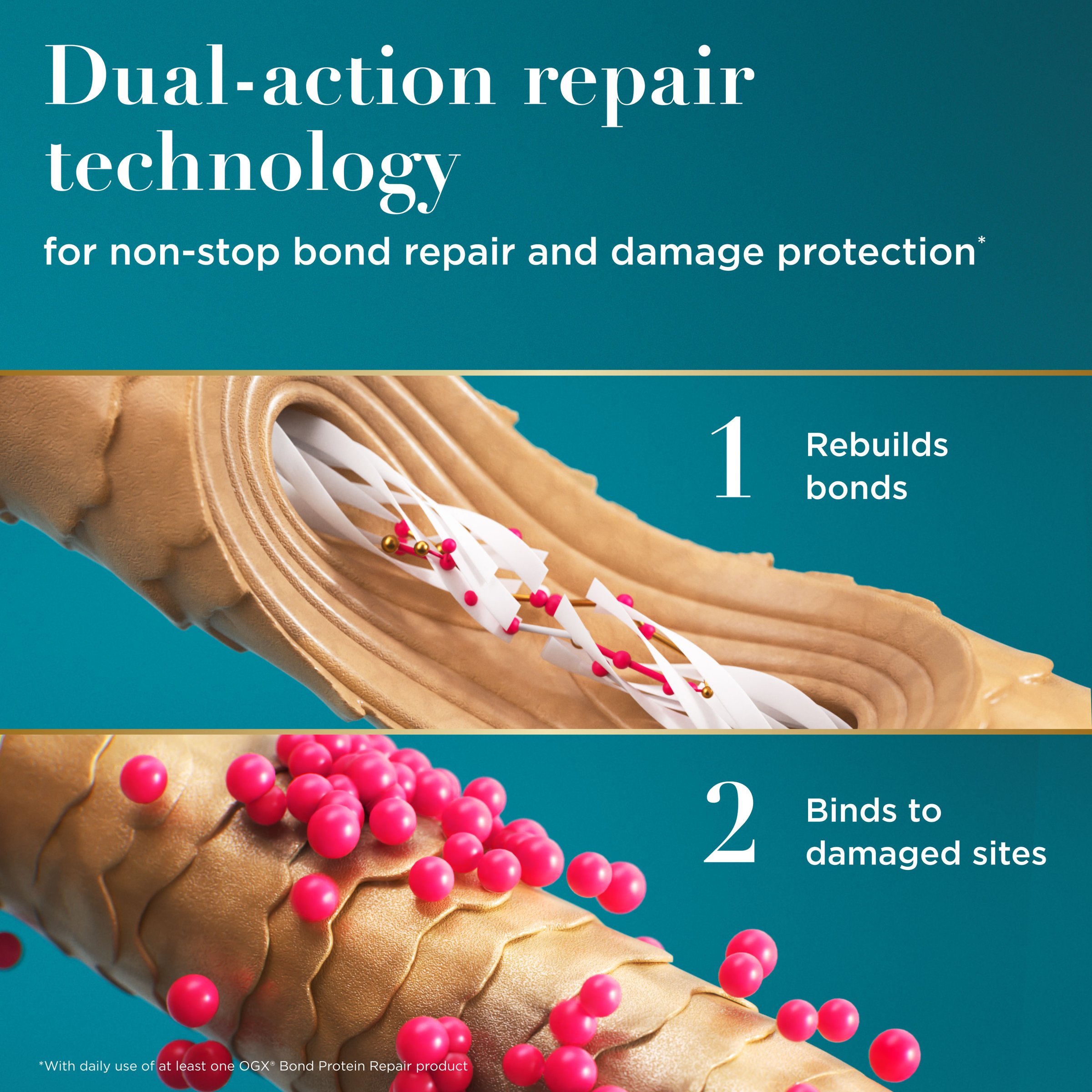 Ogx Bond Protein Repair Shampoo 385ml - Image 8