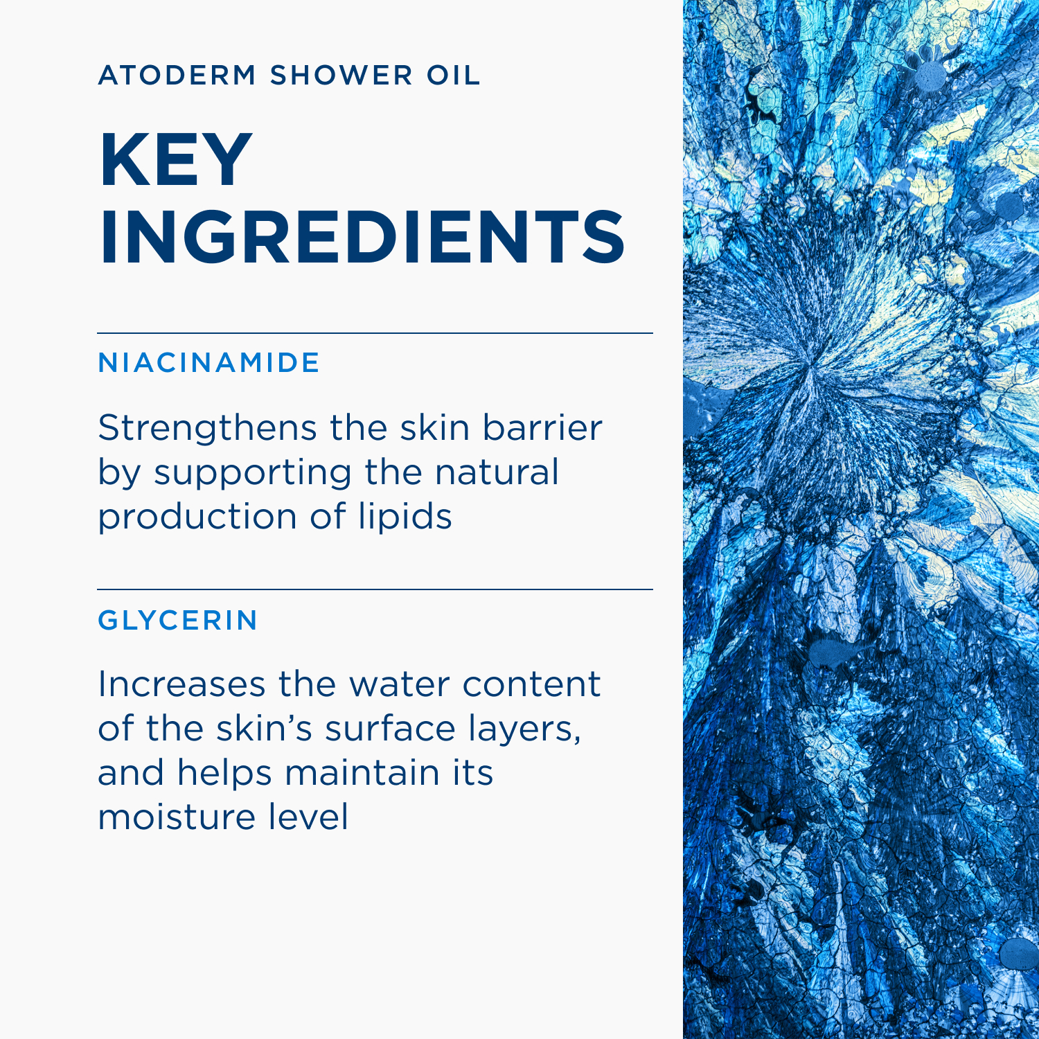Bioderma Atoderm Huile De Douche FP 200ml - Image 3