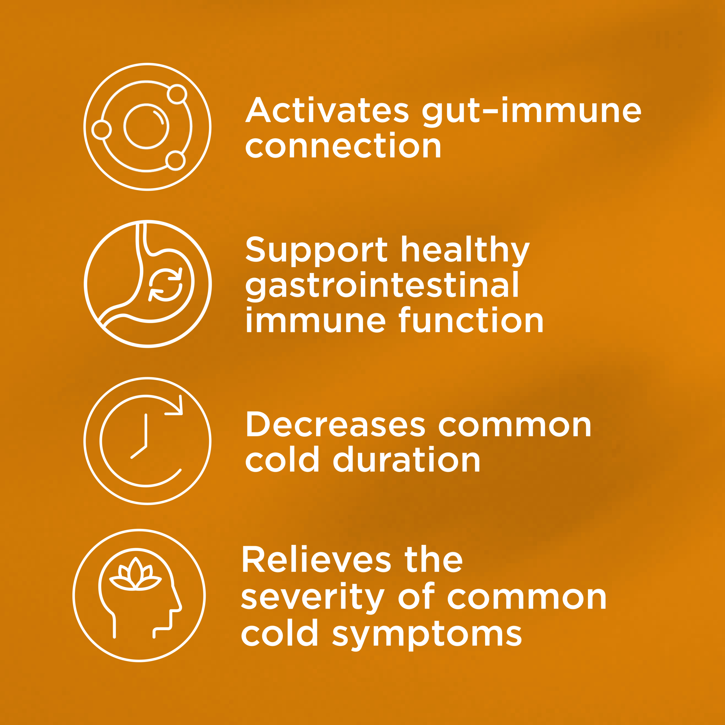 Blackmores Gut Immune Biotic 60 tablets - Image 9
