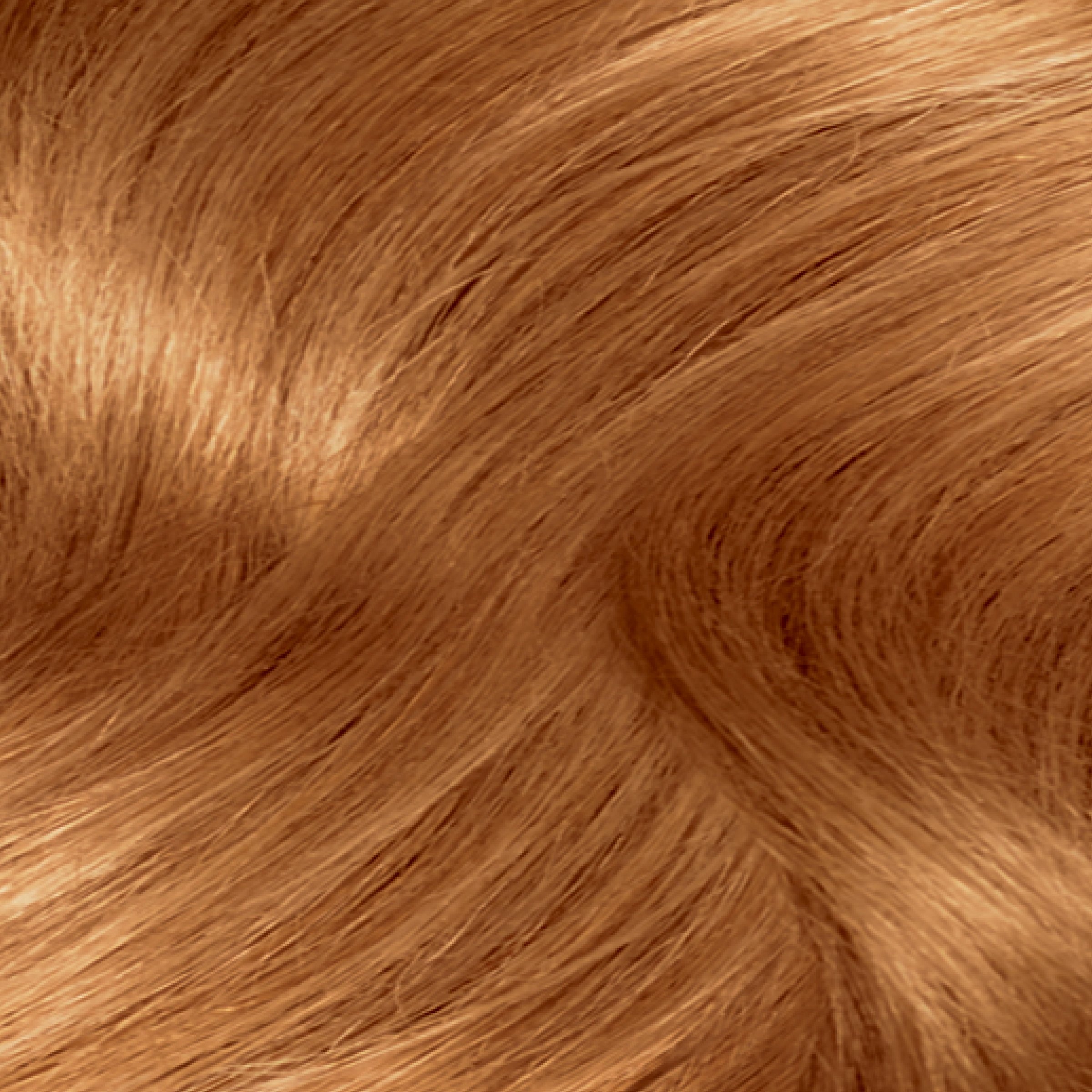 Clairol Nice 'N Easy Natural Gold Auburn 1 pack - Image 6