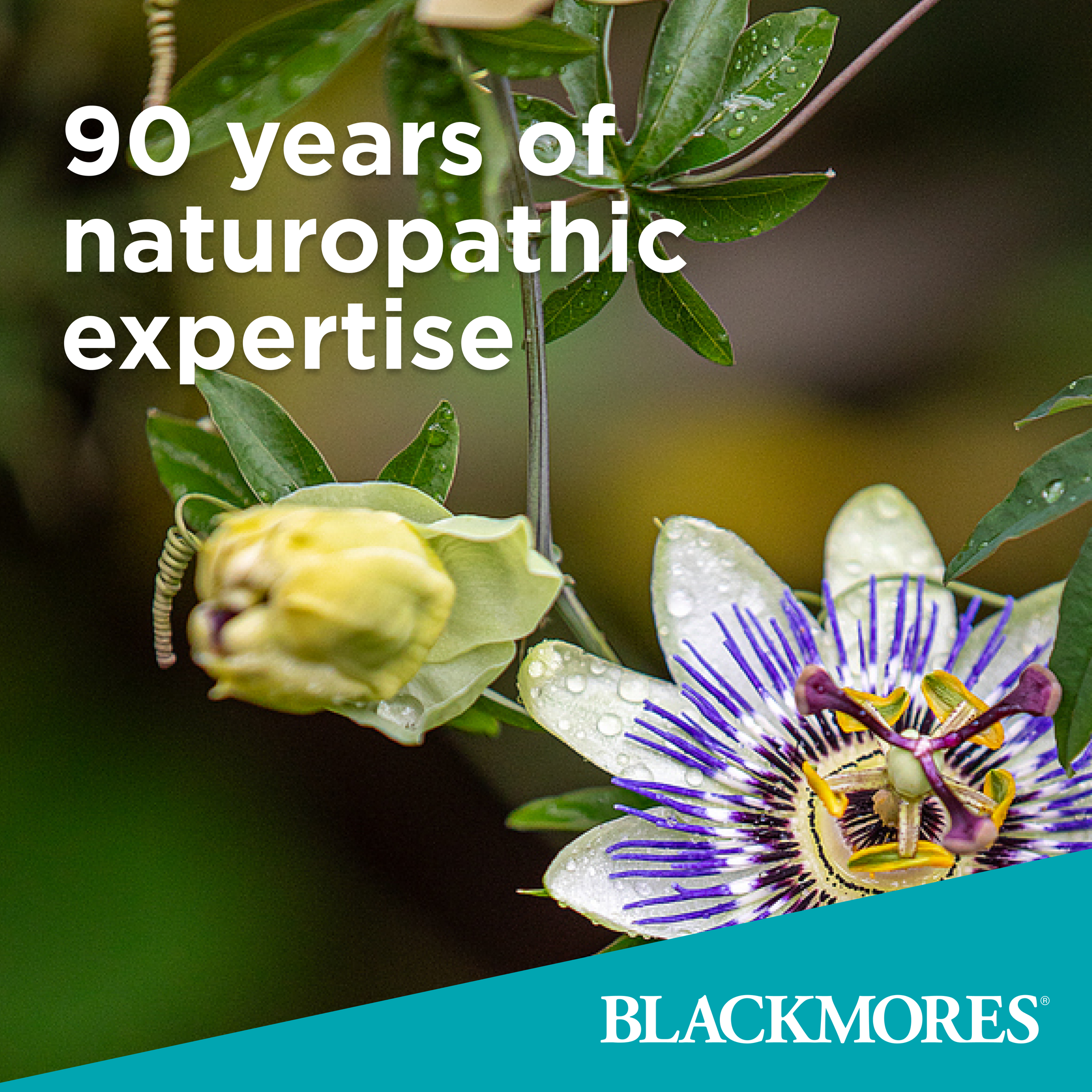 Blackmores Bio C 1000 - 150 tablets - Image 4