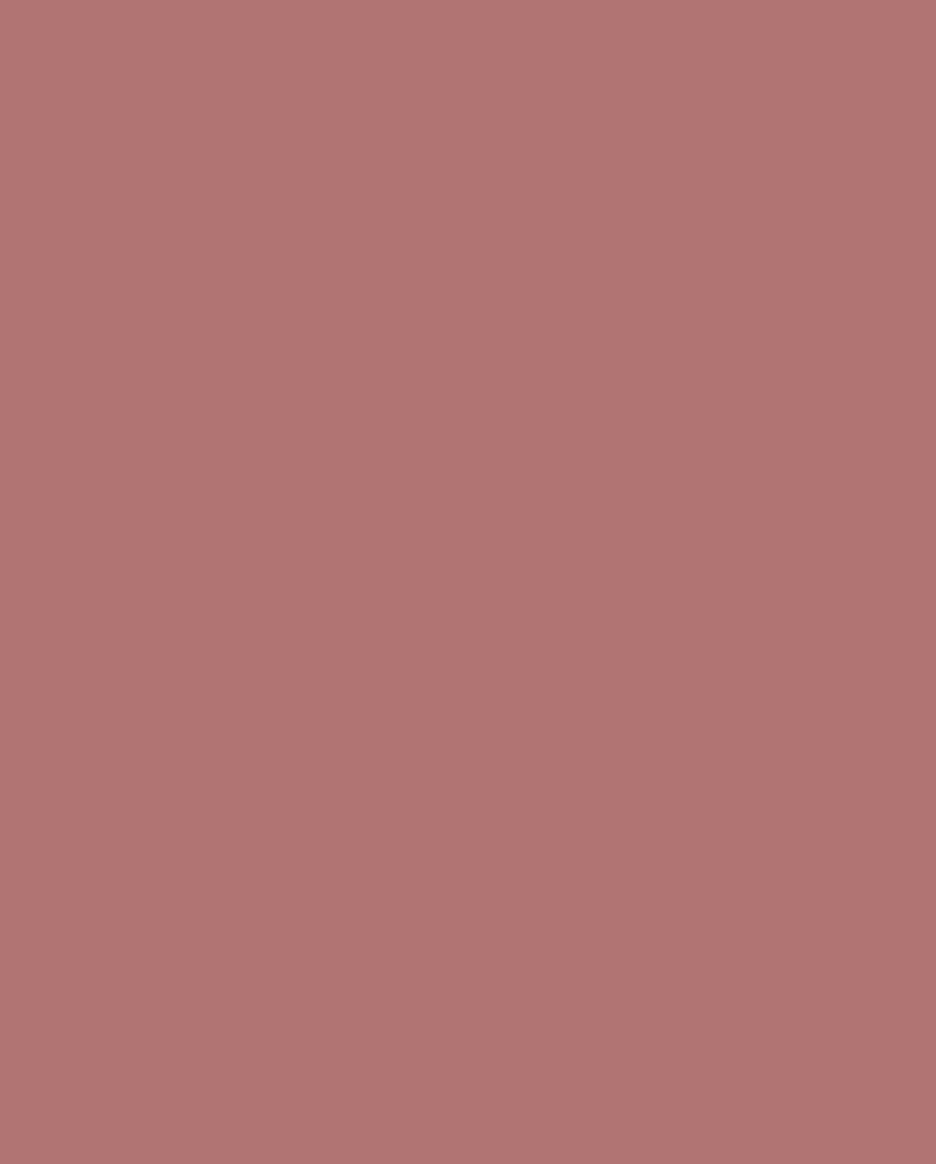 Natio Lip Colour Chai 4g - Image 2