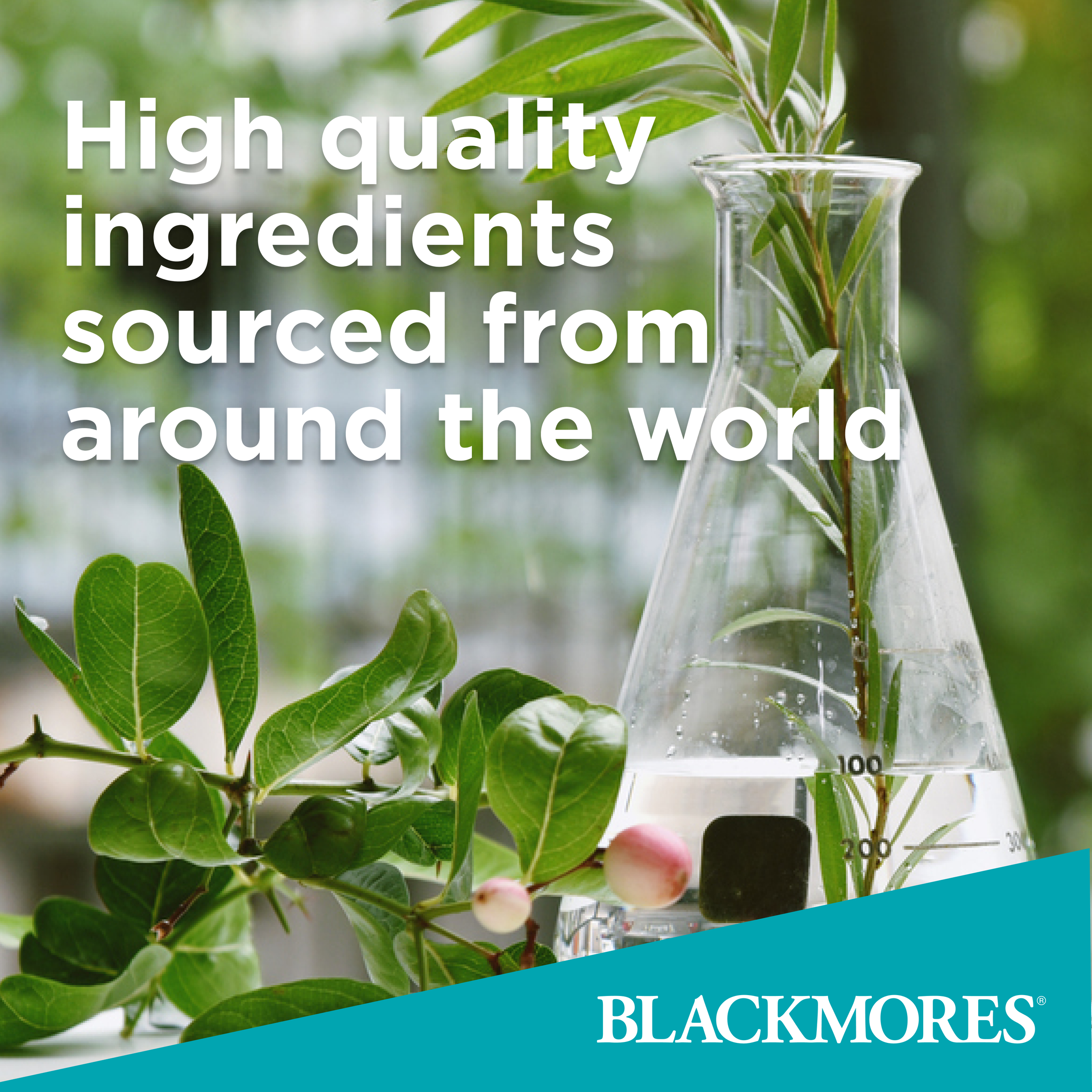 Blackmores Valerian Forte 60 tablets - Image 4