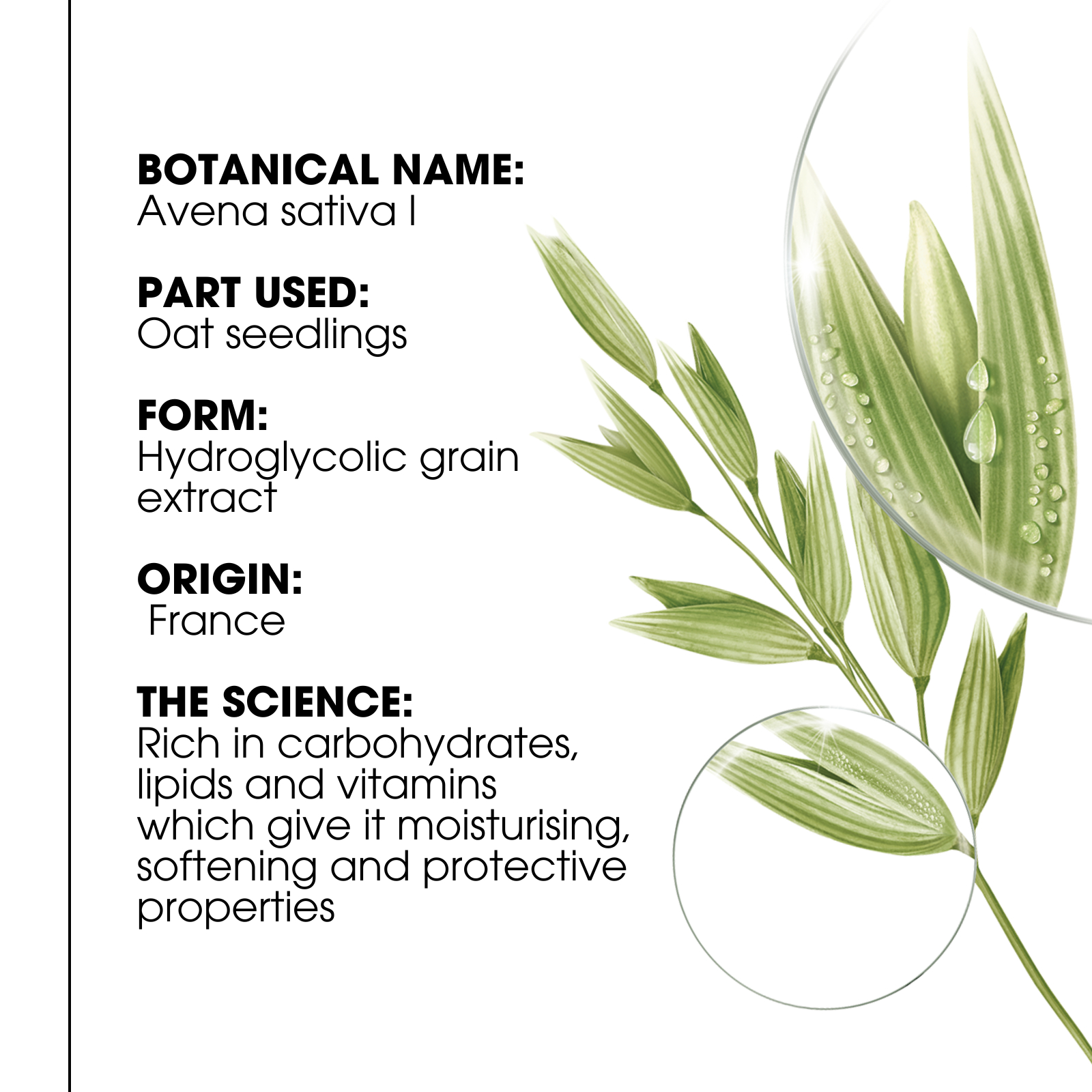 Klorane Dry Shampoo With Oat & Ceramide 150ml - Image 4