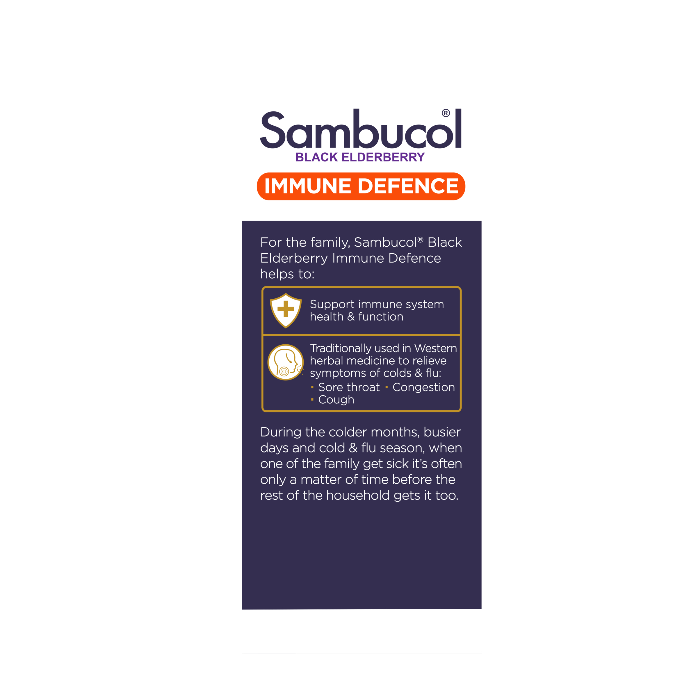 Sambucol Immune Defence Everyday 250ml - Image 3