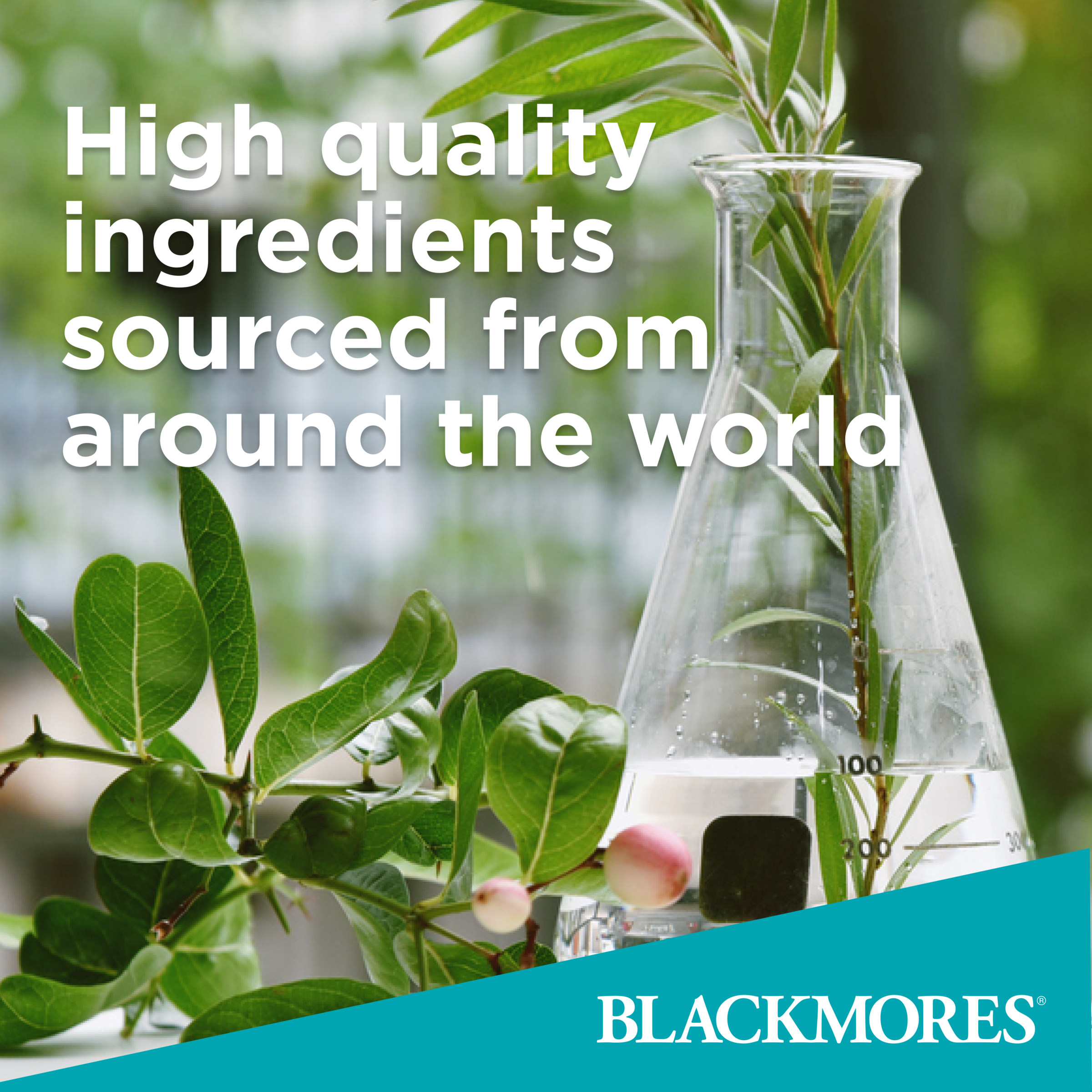 Blackmores Mega B Complex 75 tablets - Image 4
