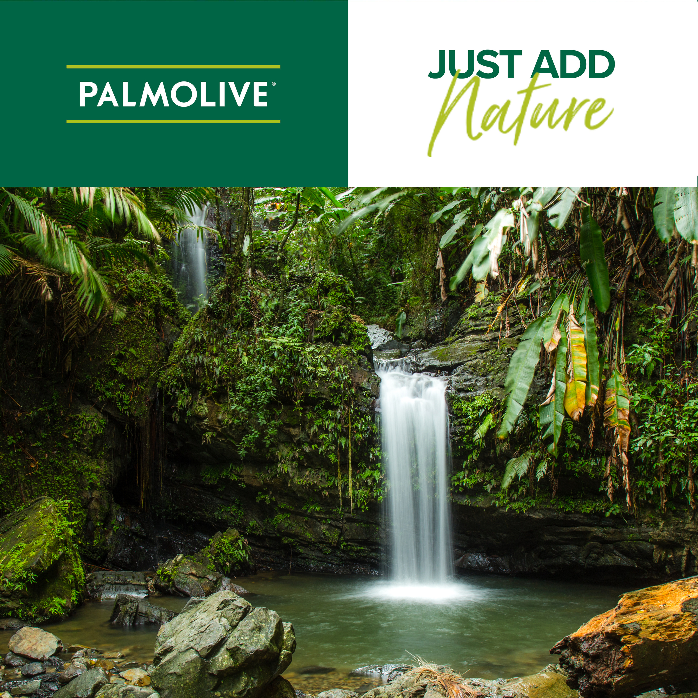 Palmolive Naturals Shower Gel Pomegranate & Mango 1 Litre - Image 4
